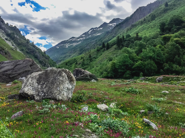 Beautiful mountain landscape with fresh green grass - Photo, Image