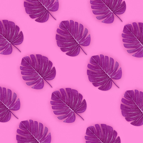 Hojas de palma tropical monstera se encuentra en un papel de color pastel. Naturaleza patrón de concepto de verano. Composición plana. Vista superior
 - Foto, Imagen