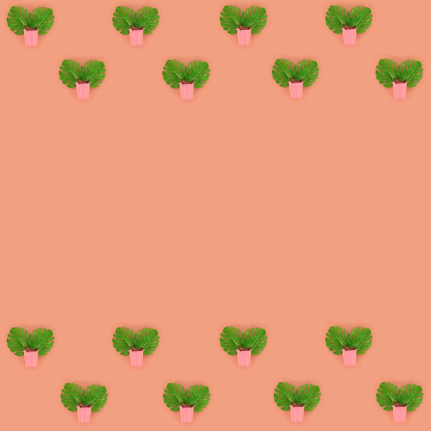 Tropical palm monstera leaves lies in a pastel pails on a colored background. Flat lay trendy minimal pattern. Top view - Photo, Image