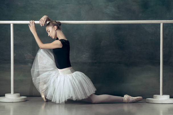 The classic ballerina posing at ballet barre - 写真・画像