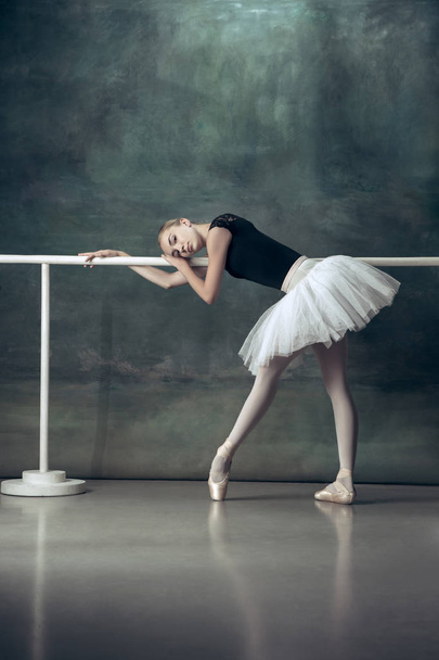 The classic ballerina posing at ballet barre - Fotó, kép