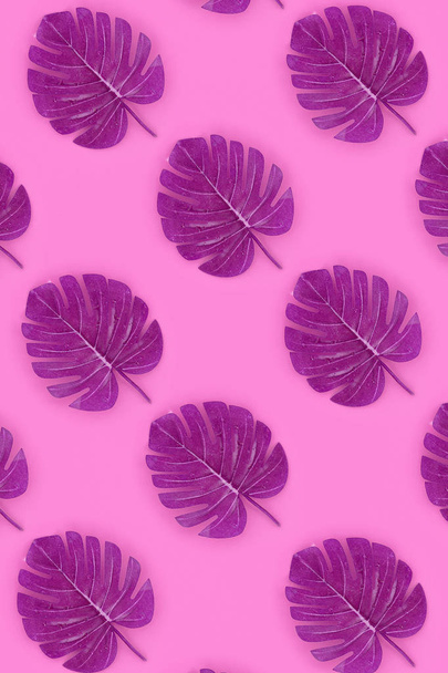 Le foglie tropicali di palma monstera giacciono su una carta color pastello. Natura estate modello di concetto. Composizione laica piatta. Vista dall'alto
 - Foto, immagini
