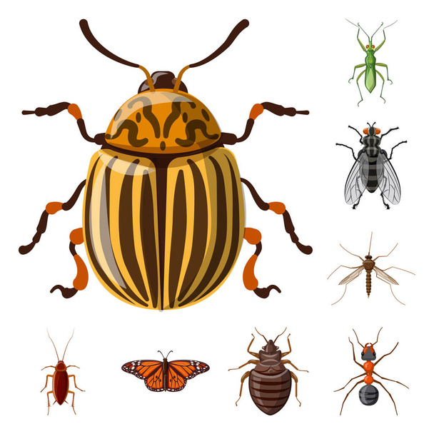 Векторная иллюстрация значка насекомого и мухи. Набор векторных иллюстраций насекомых и элементов
. - Вектор,изображение