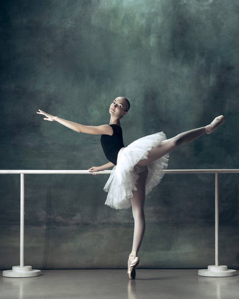 The classic ballerina posing at ballet barre - Fotó, kép