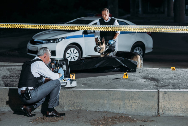 focused mature policeman sitting with case for investigation tools while his colleague with alsatian on leash standing near corpse in body bag at crime scene - Photo, Image