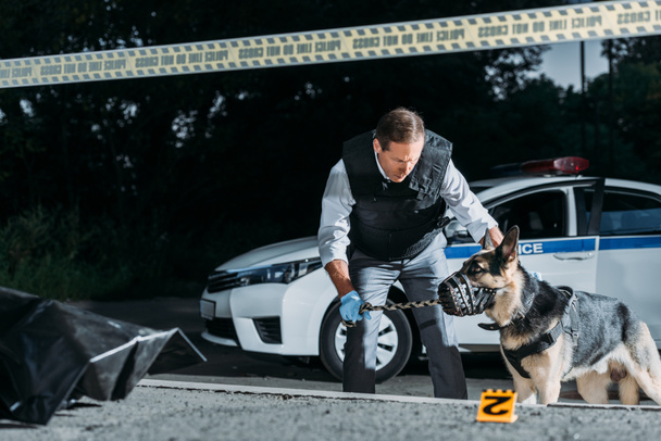 homme officier de poice tenant chien en laisse près de la voiture sur la scène de crime avec cadavre dans le sac de corps
  - Photo, image