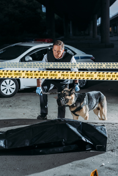 oficial de policía masculino con alsaciano con correa en la escena del crimen con el cadáver en la bolsa del cuerpo
  - Foto, Imagen