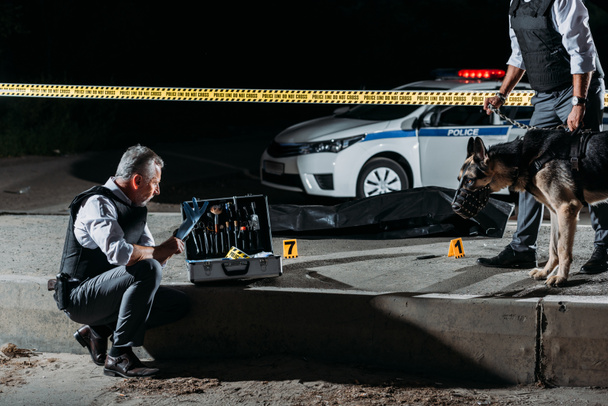 maduro policía poniendo guantes de látex cerca de caso de herramientas de investigación mientras que su colega de pie cerca con perro con correa en la escena del crimen con el cadáver
  - Foto, imagen