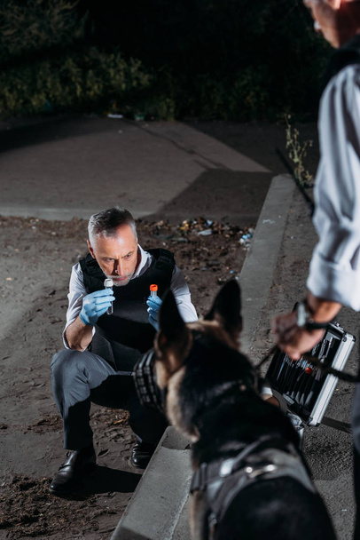 зрелый полицейский в латексных перчатках показывает доказательства немецкой овчарке, пока его коллега стоит рядом с местом преступления
  - Фото, изображение