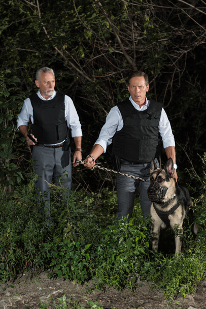 male police officers in bulletproof vests with german shepherd dog on leash near forest - Photo, Image