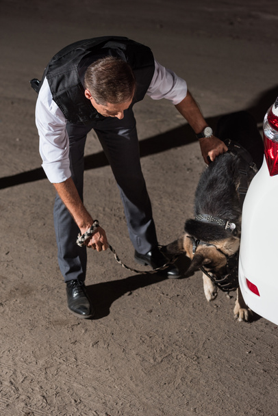 полицейский в бронежилете с немецкой овчаркой на поводке возле машины на улице
 - Фото, изображение