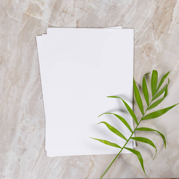 Flat lay design of blank paper and green plant - Φωτογραφία, εικόνα