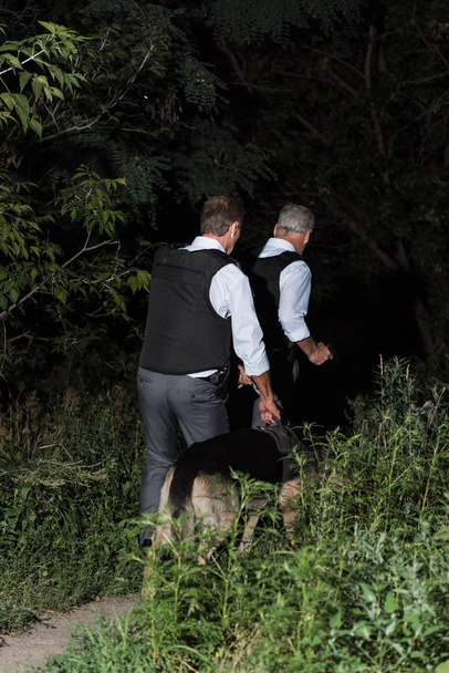 Rückansicht männlicher Polizisten in kugelsicheren Westen mit Schäferhund an der Leine in Waldnähe  - Foto, Bild