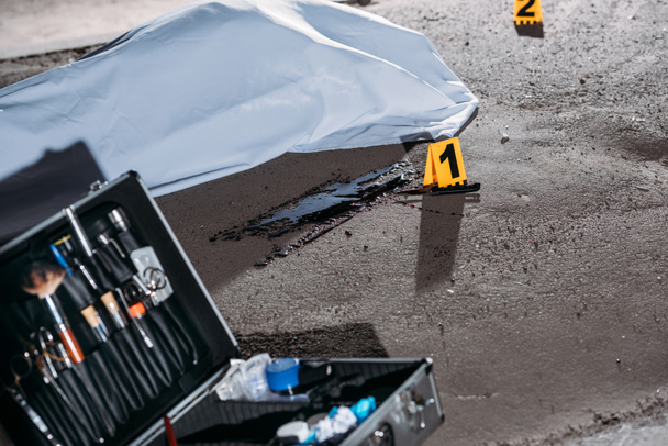 Nahaufnahme des Falles mit Ermittlungswerkzeug und Leiche im Leichensack am Tatort  - Foto, Bild