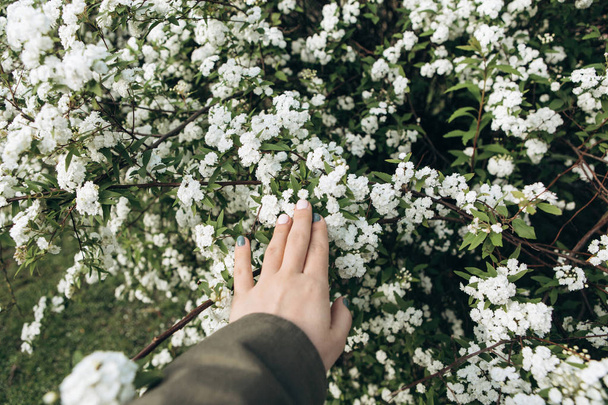 The girl touches her hand to a flowering tree. - Photo, Image