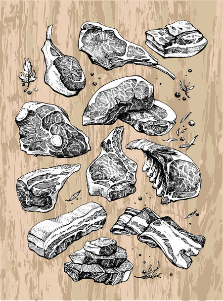 Delicious drawing of different kinds and pieces of meat - Vector, Image