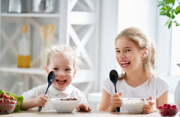 Two children having breakfast. Kids eating cereal and berry in kitchen. - Foto, Bild
