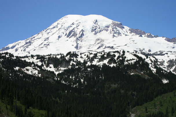 Majesteettinen Mount Rainier
 - Valokuva, kuva