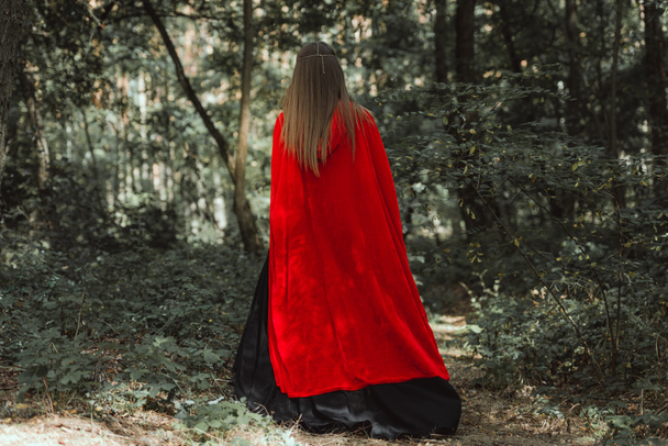 back view of mystic woman in red cloak in forest - Foto, Bild