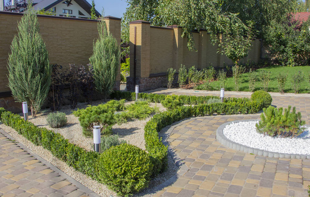 Cobbled concrete paving slab track in a beautifully manicured garden top wiew - Foto, immagini