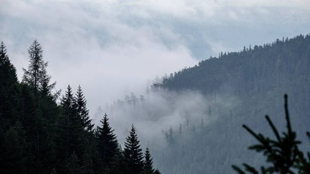vista panorámica del bosque brumoso en las montañas de los Cárpatos occidentales. Tatra en el atardecer brumoso, horizonte lejano. Eslovaquia a principios de otoño
 - Foto, Imagen
