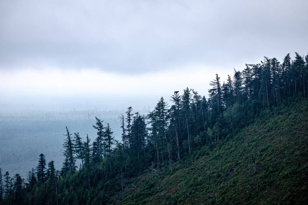 西カルパティア山脈の霧の森のパノラマ風景。霧のサンセットのタトラはるかな地平線。初秋のスロバキア - 写真・画像