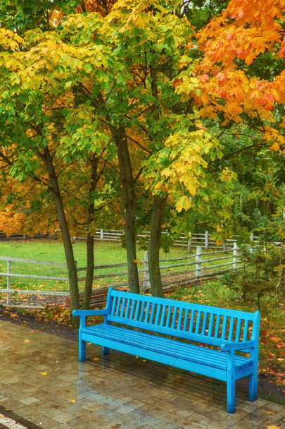 Sonbahar park bankında, yağmurlu doku arka plan. Sonbahar park, damla su, Rüzgar, yağmur. - Fotoğraf, Görsel
