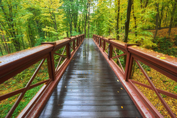 Hermoso puente de madera en el bosque. Hojas de colores. Otoño, las primeras luces de la mañana
. - Foto, Imagen
