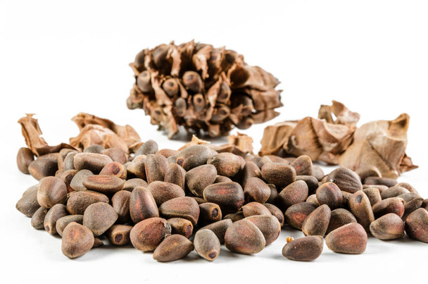 heap of pine nut and cone on white background - Foto, Imagen