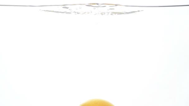 Closeup αργή κίνηση μήκος σε πόδηα φρέσκα ώριμα γκρέιπφρουτ που υπάγονται και πιτσίλισμα στο καθαρό νερό κρύο λευκό φόντο - Πλάνα, βίντεο
