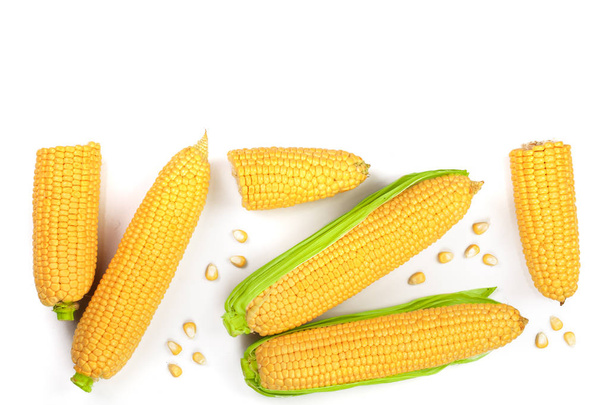 ear of corn isolated on a white background with copy space for your text. Top view. Set or collection - Photo, Image