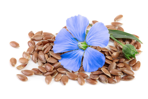 flax seeds with flower isolated on white background - Photo, Image