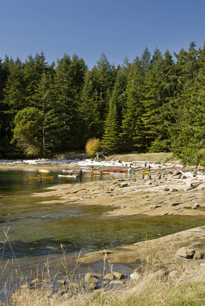 Θαλάσσιο καγιάκ ομάδα, Drumbeg επαρχιακό πάρκο, νησί της Gabriola, Bc, Καναδάς - Φωτογραφία, εικόνα