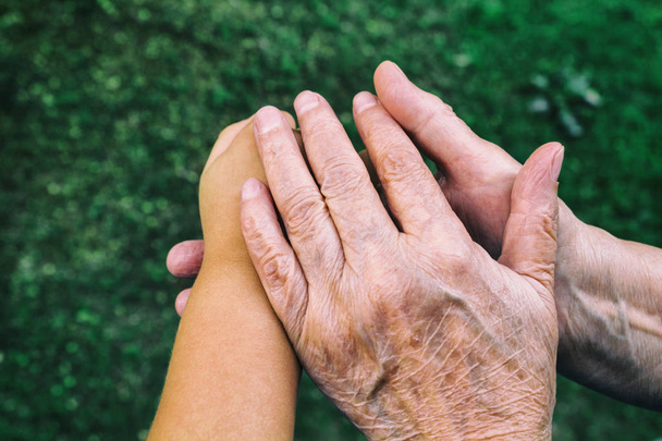 The concept of old age and youth. Old female hands hold the child's hand close-up, against a background of green grass - Fotoğraf, Görsel
