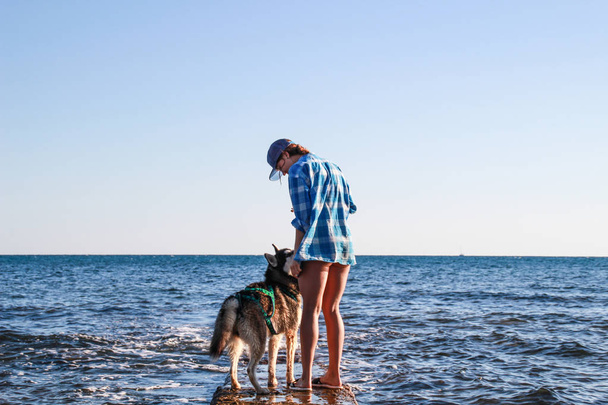 Widokiem na Morze Adriatyckie. Husky grać na plazy kamienie. Dziewczyna grać z psem i mu żywności. Treveling z psem. Chorwacja. - Zdjęcie, obraz