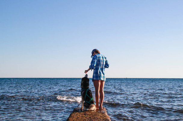 Vista para o mar Adriático.Husky jogar na praia pedras do mar. A rapariga brinca com o cão e ele com a comida. Treveling com cão.Croácia
. - Foto, Imagem