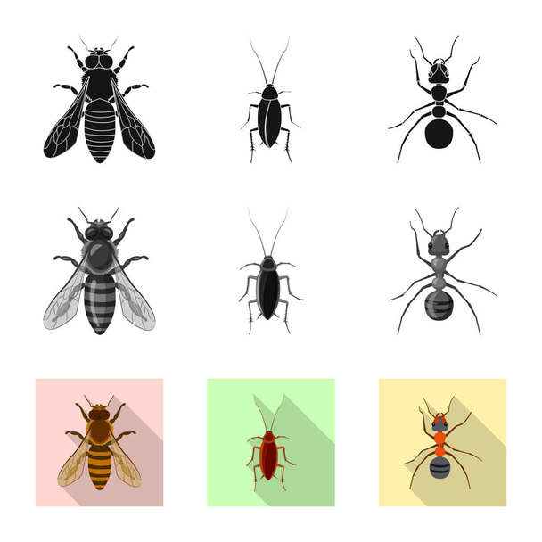 Geïsoleerde object van insecten en vliegen teken. Collectie van insect en element voorraad vectorillustratie. - Vector, afbeelding