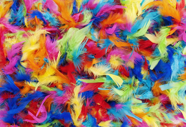 background texture of bright colorful feathers in rainbow colors - Photo, Image