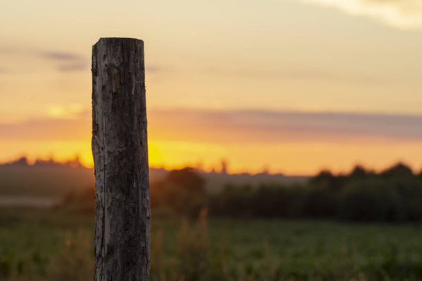 suché trávy obloze letní západ slunce zblízka pozadí - Fotografie, Obrázek