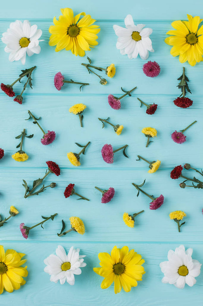 Manzanilla amarilla y flores de dalias. Asiento plano, vista superior. Fondo de madera azul
. - Foto, imagen
