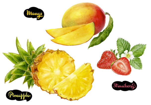Mango ananas jahodový akvarel ručně kreslené ilustrace sada - Fotografie, Obrázek