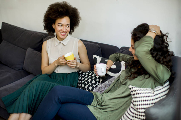 Sohbet ve kahve içme rhe oturma odasında iki çok ırklı genç kadın - Fotoğraf, Görsel