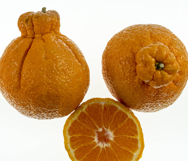 Sumo Citrus, également appelé dekopon, est une variété de mandarine sans pépins et douce, distinctive par sa grande taille et sa grande bosse saillante sur le dessus
.   - Photo, image