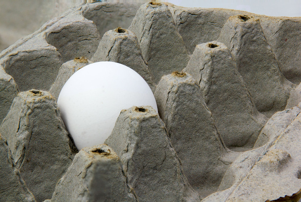 Single white chicken egg in a box. - Photo, Image