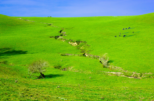 Maaperän eroosio viljelymailla
 - Valokuva, kuva