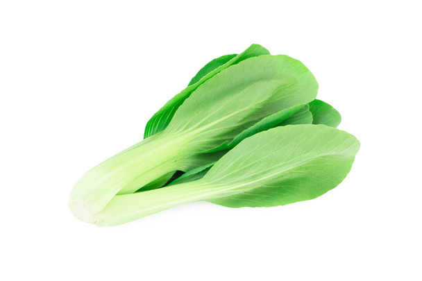 Ciose up bok choy vegetable isolated on the white background. - Photo, Image