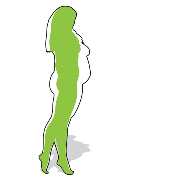 Vecteur de graisse conceptuelle en surpoids obèse femelle vs mince ajustement corps sain après la perte de poids ou l'alimentation avec les muscles mince jeune femme isolée. Fitness, nutrition ou graisse obésité, silhouette santé
 - Vecteur, image