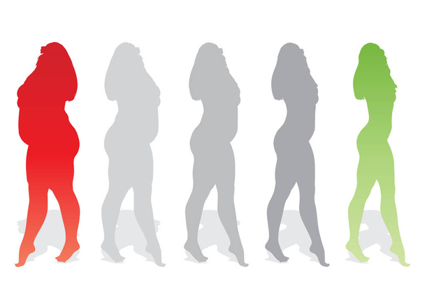 ベクトル概念脂肪肥満肥満女性 vs 減量後適合の健康的なボディをスリムまたは分離された筋肉薄い若い女性と食事。フィットネス、栄養、肥満肥満、健康シルエット図形 - ベクター画像