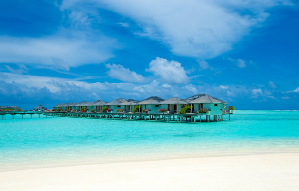 Тропічний пляж на Мальдівах з невеликою кількістю пальм і синьою лагуною. - Фото, зображення