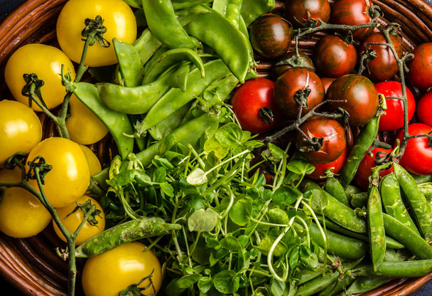 Red and yellow tomatoes, watercress salad and green pea on try. Harvest or clean healthy eating concept - Photo, image